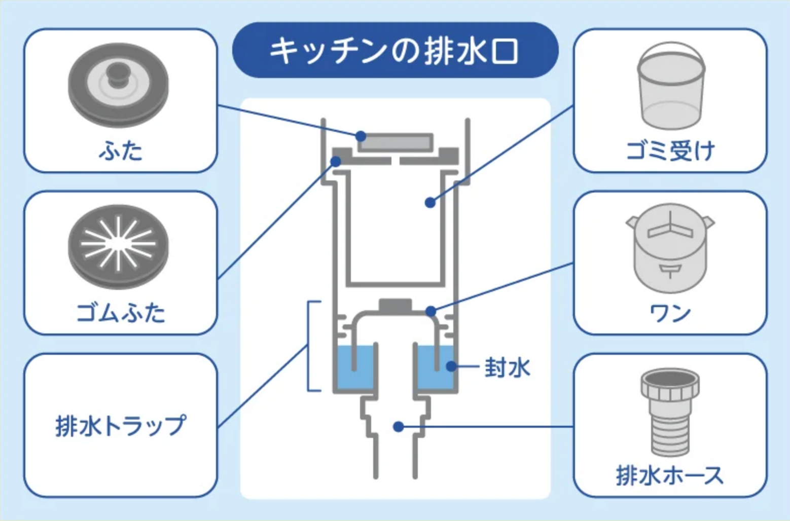 排水口の構造